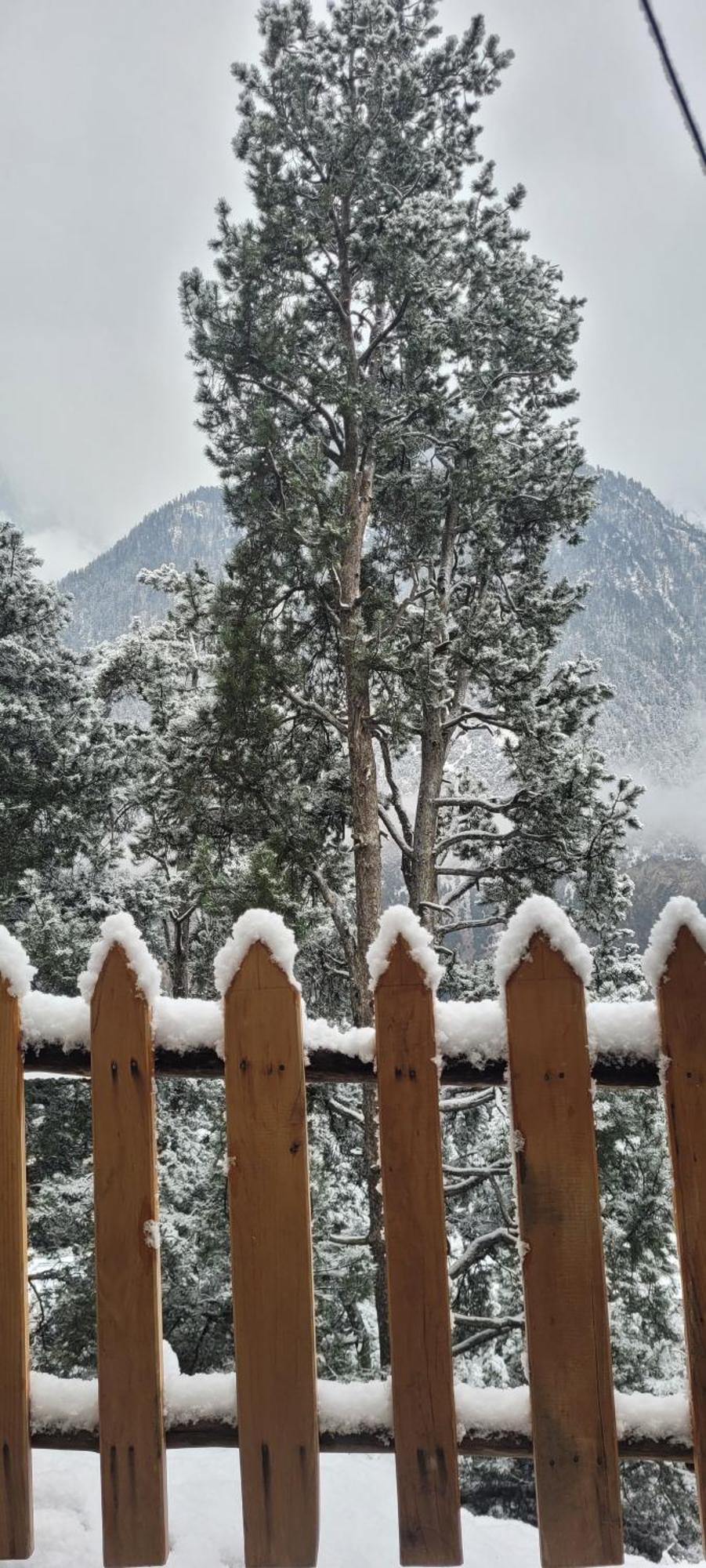 Rudra Homestays Kalpa Bagian luar foto